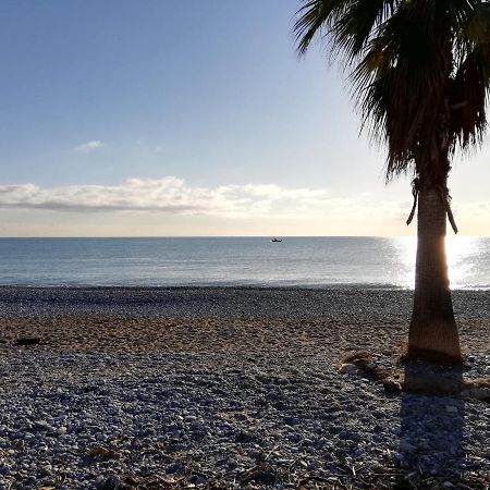 Appartement 2P Et Parking Prive A 50M Des Plages. Villeneuve-Loubet Dış mekan fotoğraf