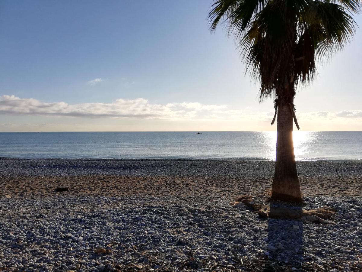 Appartement 2P Et Parking Prive A 50M Des Plages. Villeneuve-Loubet Dış mekan fotoğraf